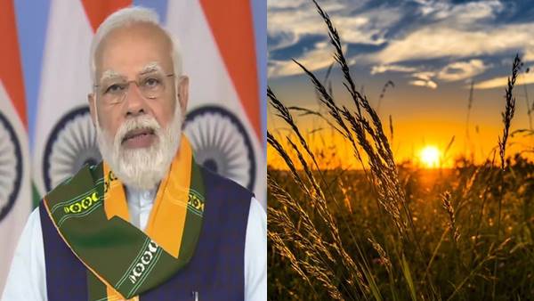 बाजरे से जुड़ा पीएम मोदी का किस्सा