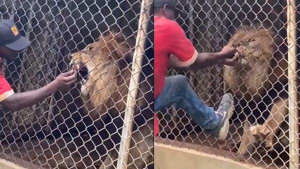  3.9 मिलियन लोगों ने देखा वीडिय़ो