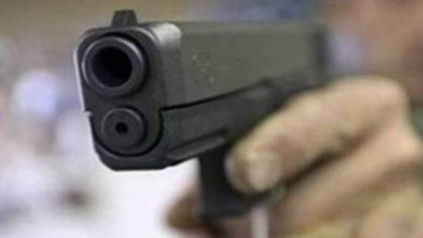 सलीम कुत्ता