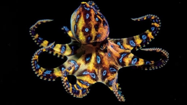 रासायनिक परिवर्तन की वजह से ऐसा