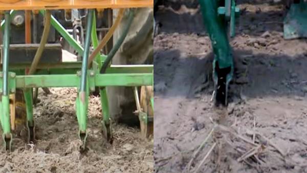 धान की खेती में DSR हर मायने में किफायती