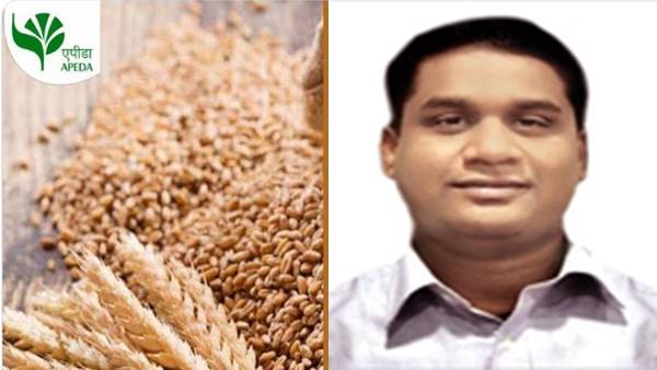 कैसे बढ़ा गेहूं का निर्यात