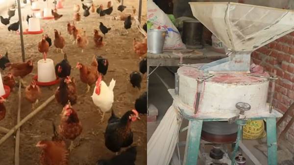 मुर्गियों के दाने के लिए घर में ही लगाई आटा चक्की