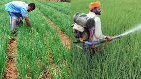 रासायनिक उर्वरकों का इस्तेमाल 