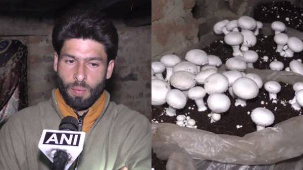 स्कूल की नौकरी छोड़ मशरूम की खेती