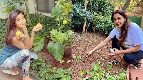 shilpa juhi shilpa juhi