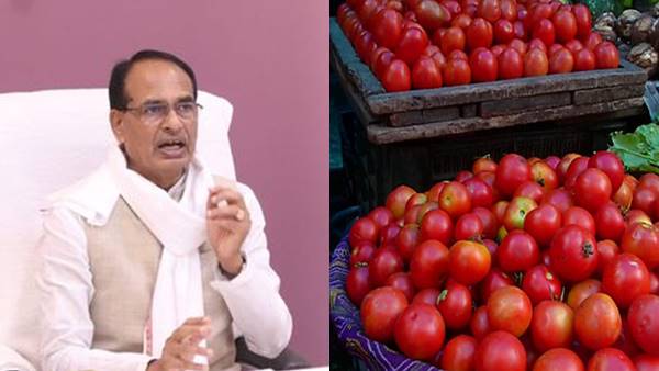 'एक जिला एक उत्‍पाद' योजना के तहत टमाटर