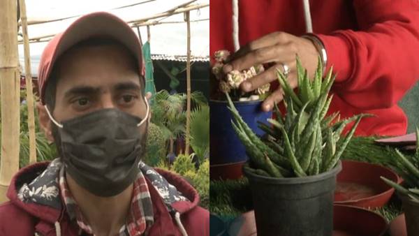 हाईब्रिड पौधों से जल्दी मिलते हैं फूल