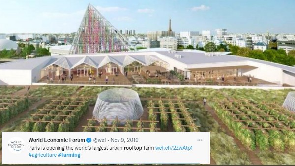 पेरिस में रूफटॉप फार्मिंग