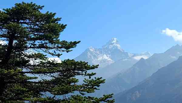 कैसे बुक करें आईआरसीटीसी यात्रा पैकेज ? कैसे बुक करें आईआरसीटीसी यात्रा पैकेज ?