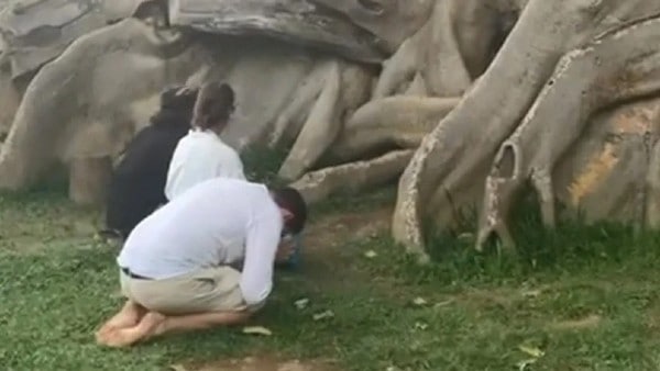 कितनी होगी सजा? कितनी होगी सजा?