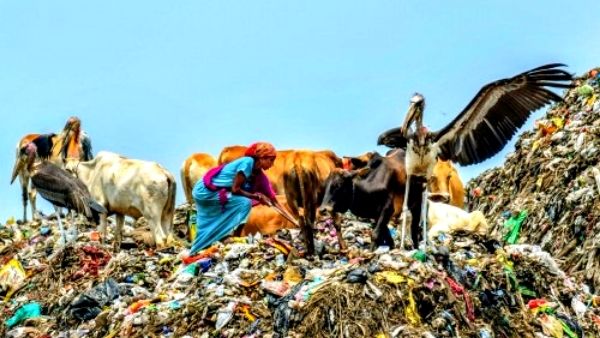 रिकॉर्ड समय में कचरे को करेगा नष्ट