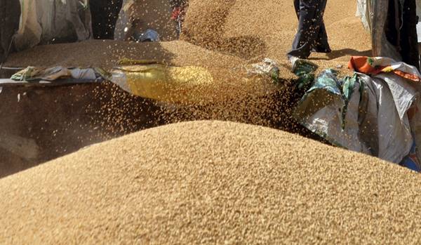 गेहूं के निर्यात में रिकॉर्ड उछाल