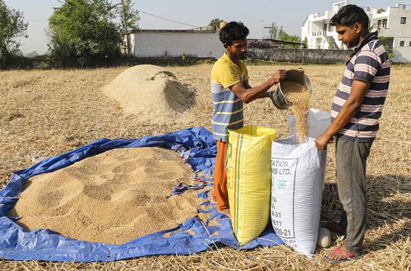 टॉप 10 देशों में 99 फीसद गेहूं का निर्यात