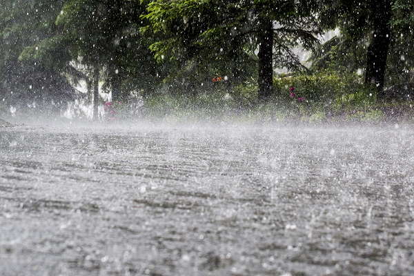 Odisha Rains Odisha Rains