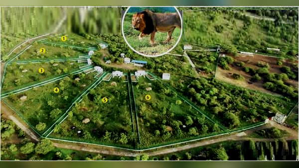 जैव विविधता ही है सृष्टि-चक्र