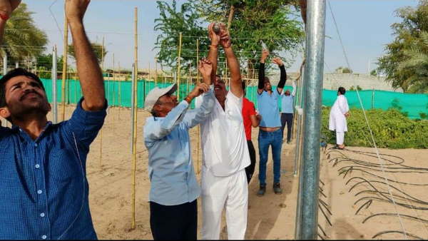 कम जगह, कम लागत में अच्छा मुनाफा देता है