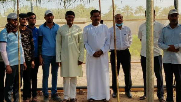 क्या है मल्टीलेयर फार्मिंग