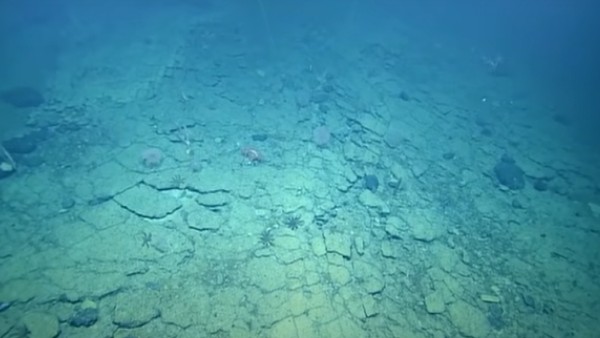 क्या है सच्चाई?