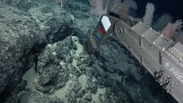 लोगों ने कही ये बात