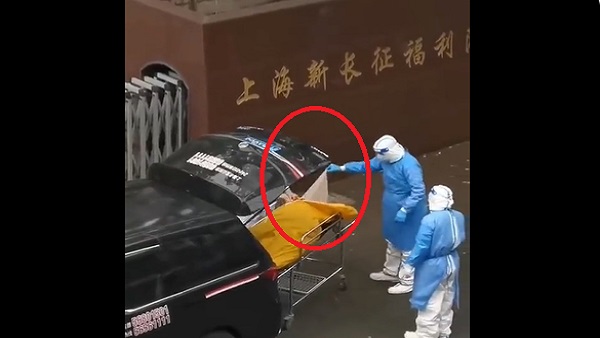 क्या दिख रहा है वीडियो में क्या दिख रहा है वीडियो में