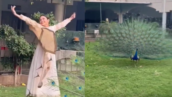 मोर के साथ डांस कर खुश हो गईं शहनाज गिल