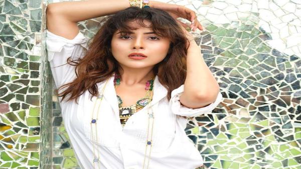 बिग बॉस से शहनाज के सपनों को लगे पंख बिग बॉस से शहनाज के सपनों को लगे पंख