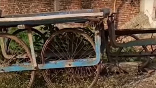 कोर्ट में प्रैक्टिस भी की