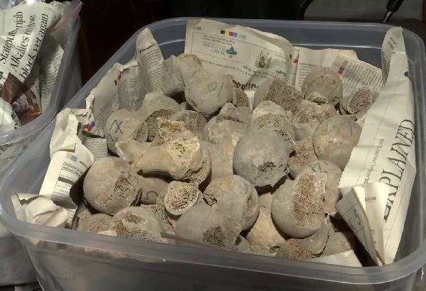 skeletons of 282 Indian soldiers excavated from a well of Punjab, belong to 1857 