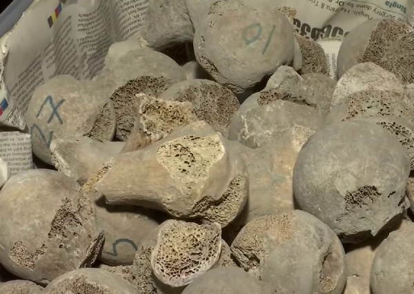 skeletons of 282 Indian soldiers excavated from a well of Punjab, belong to 1857 