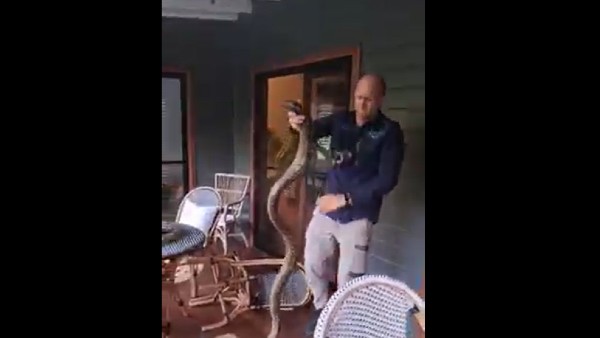 मेटिंग के लिए वहां पर पहुंचे