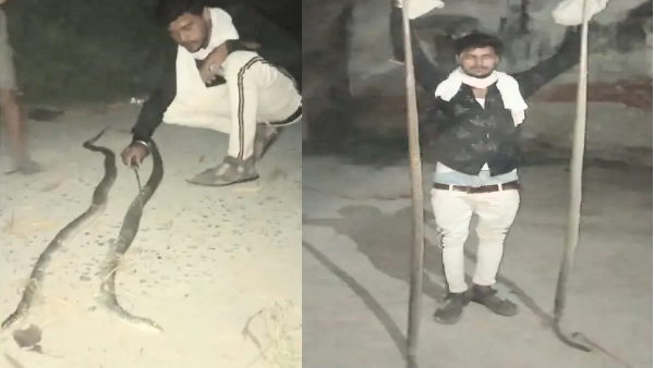  पार्टनर की जान बचाने के लिए मौत को लगाया गले