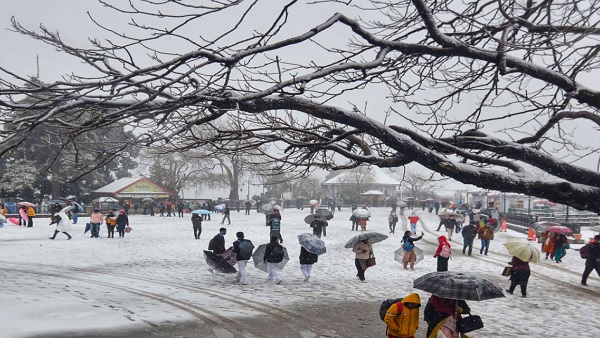 Himachal Pradesh Weather: हिमाचल में हुई बर्फबारी, खिले लोगों के चेहरे, फिजां में घुली शरारत, देखें दिलकश तस् Himachal Pradesh Weather: हिमाचल में हुई बर्फबारी, खिले लोगों के चेहरे, फिजां में घुली शरारत, देखें दिलकश तस्