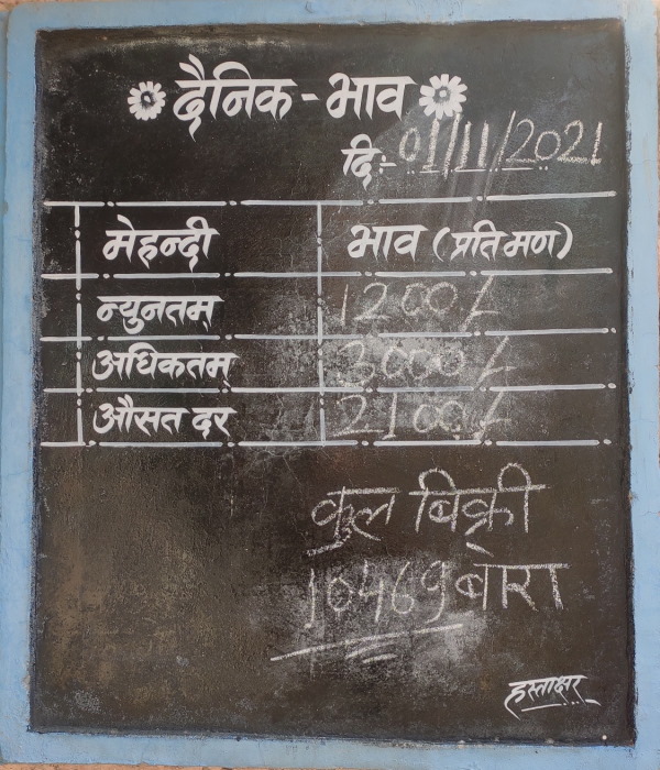 60 हजार हेक्टेयर में मेहंदी की खेती 60 हजार हेक्टेयर में मेहंदी की खेती