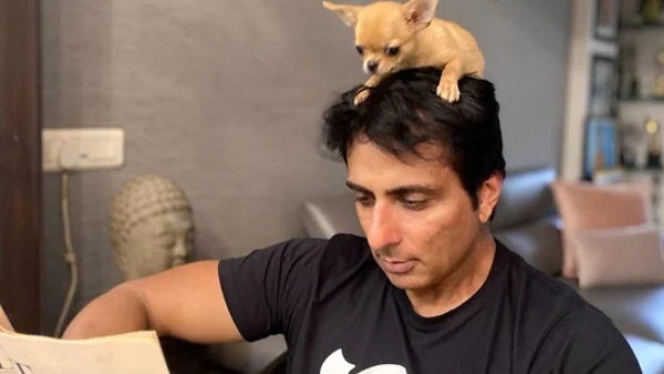 सोनू सूद के सिर पर बैठा नजर आया क्यूट डॉग 