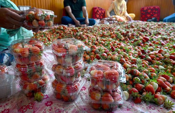 उत्पादन बढ़ाने पर बेचना मुश्किल, सरकार करे मदद