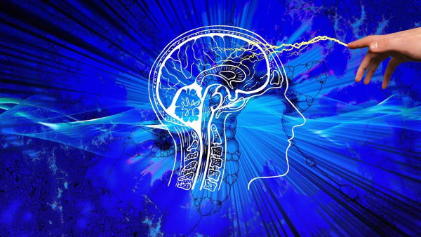 एमआरआई मशीन से देखी गई ब्रेन एक्टिविटी