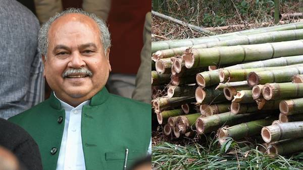 राष्ट्रीय बांस मिशन : 9 राज्यों में 22 क्लस्टर राष्ट्रीय बांस मिशन : 9 राज्यों में 22 क्लस्टर