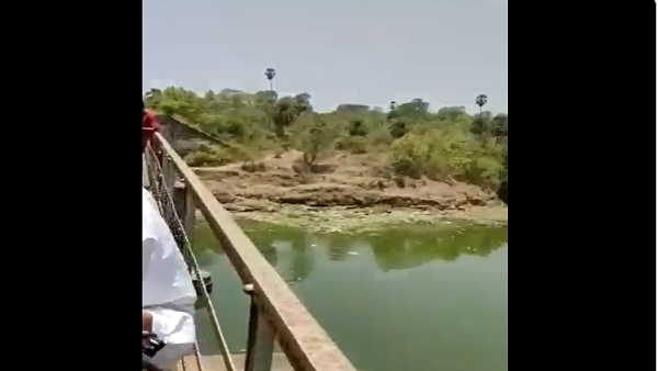 कहां की है यह घटना?