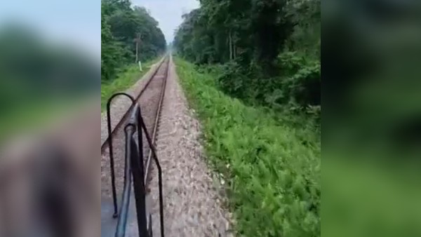 लोगों ने की ड्राइवर की तारीफ