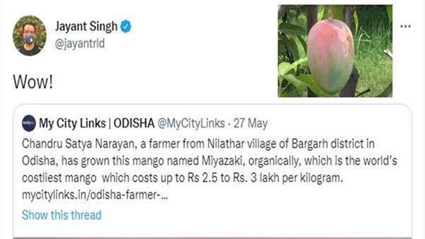 'सुखाड़' में आम, RLD नेता जयंत चौधरी का रिएक्शन