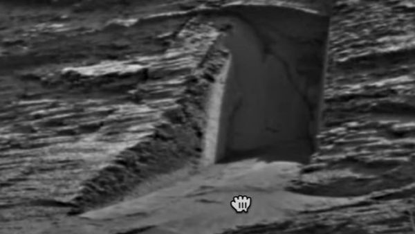 8 इंच लंबे जीव का मकबरा