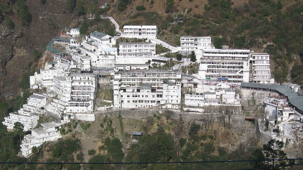 वन संपदा को हुआ नुक्सान