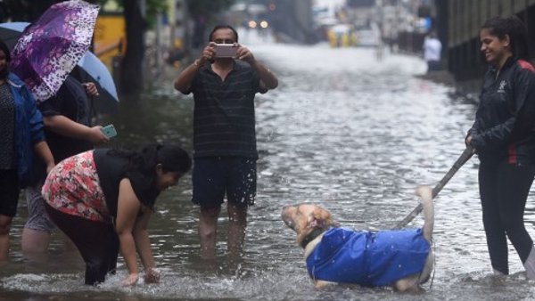 ये है रिपोर्ट