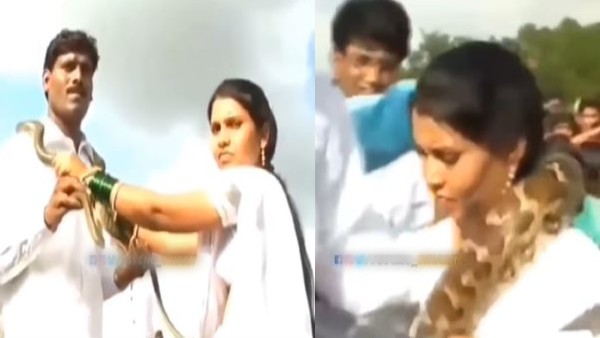 दूल्हे के गले में सांप, दुल्हन के गले में अजगर