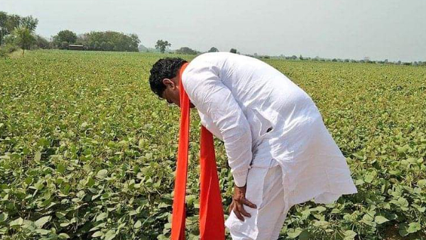 कृषि मंत्री का ग्राम गोयत में हुआ तुलादान