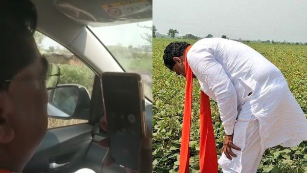 हरदा जिले में मूंग की फसल पर अघोषित बिजली