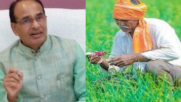 गाय के आहार के लिए हर महीने 900 रुपये गाय के आहार के लिए हर महीने 900 रुपये