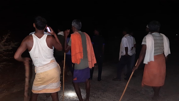 आखिर ऐसे इलाकों में क्यों आते है हाथी?