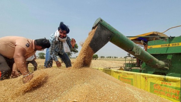 गंभीर खाद्य संकट 